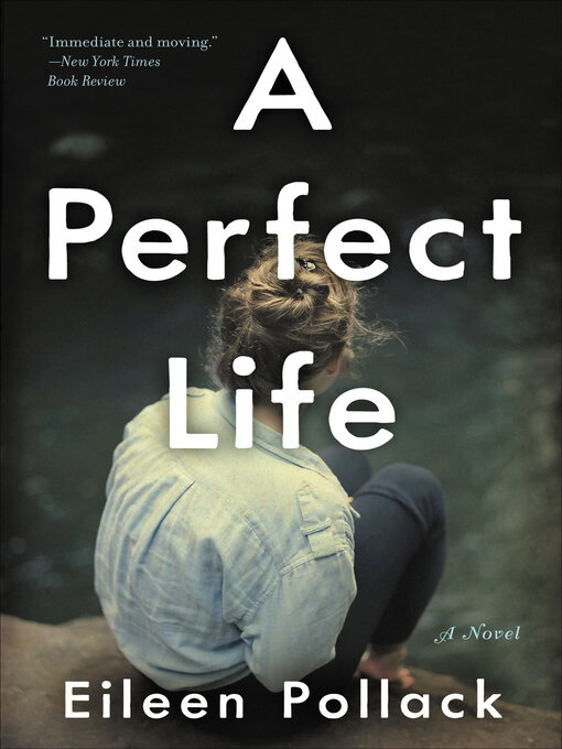 Title details for A Perfect Life by Eileen Pollack - Available